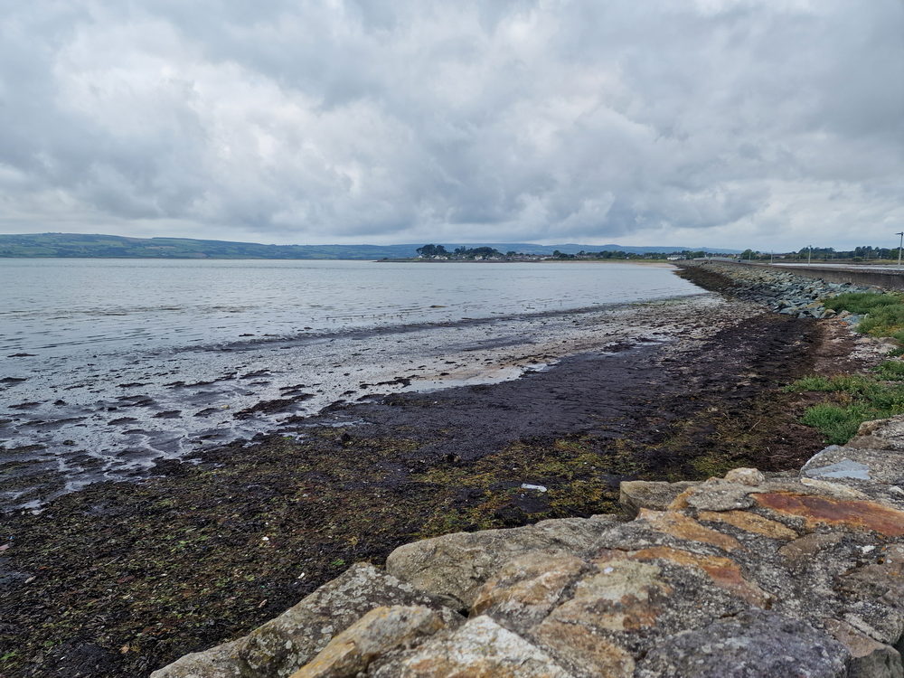 Die ersten Meterauf dem Greenway