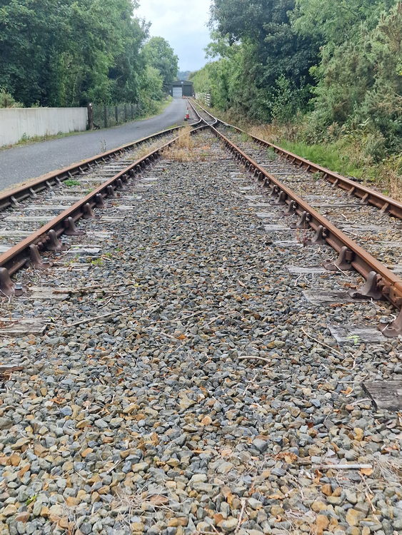 Rückweg nach Dungarvan