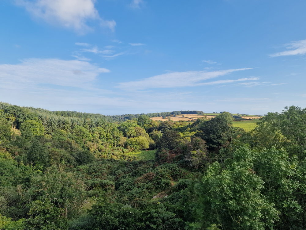 Rückweg nach Dungarvan