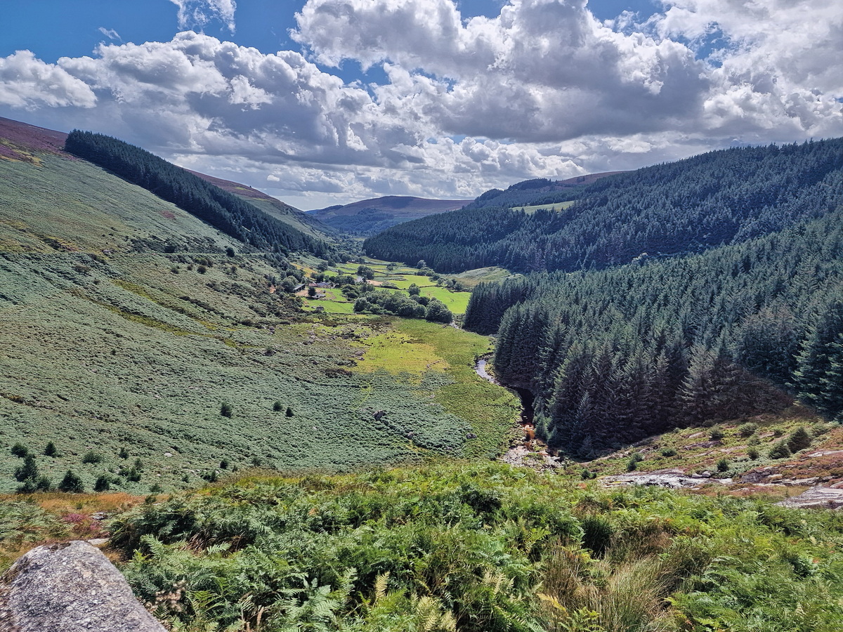 Wicklow Mountain