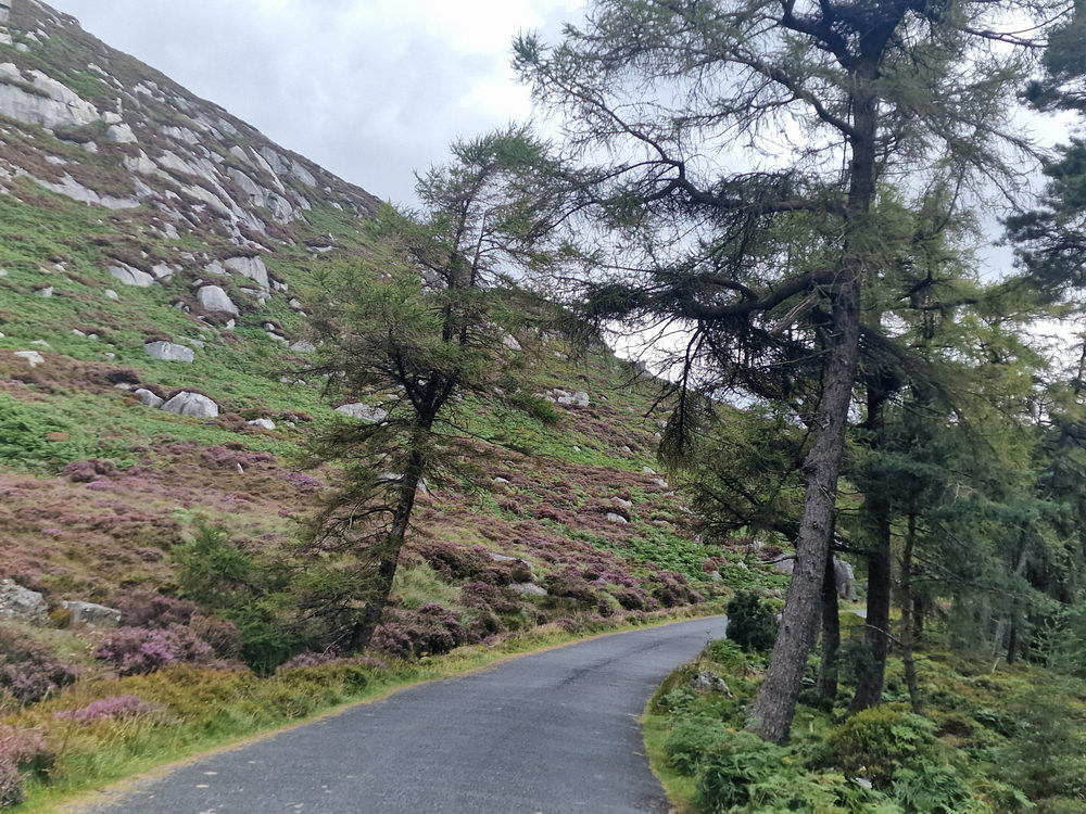 Wicklow Mountain