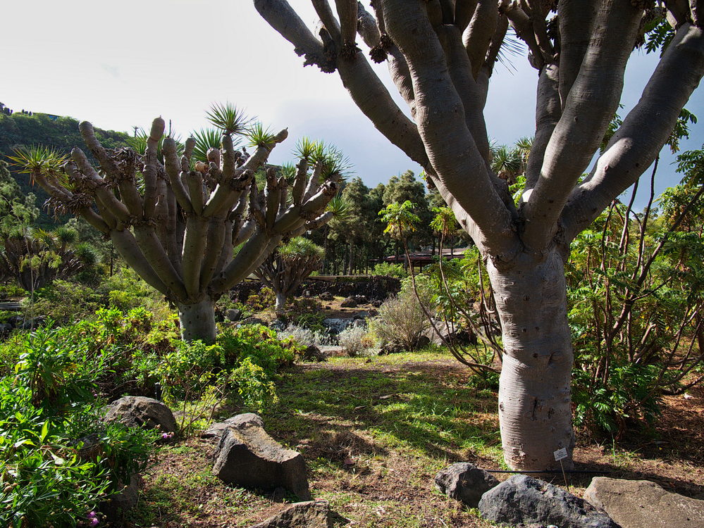 06_006