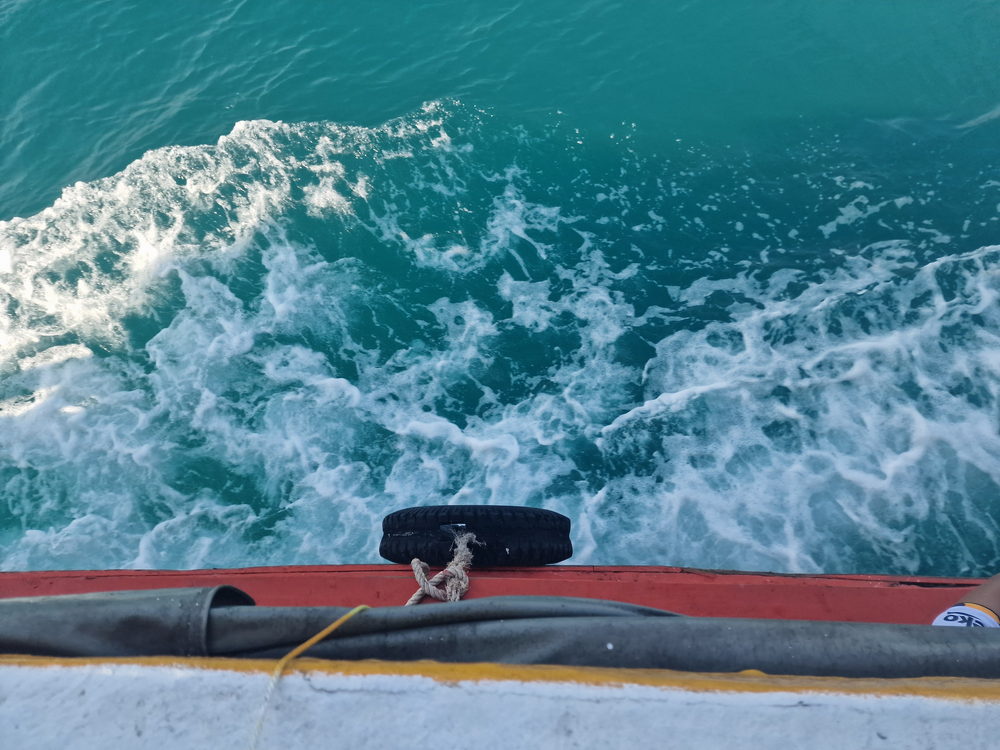 Boots- und Schnorscheltour