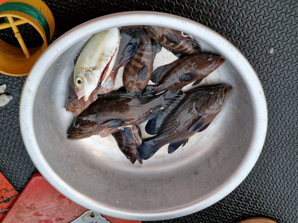 Boots- und Schnorscheltour