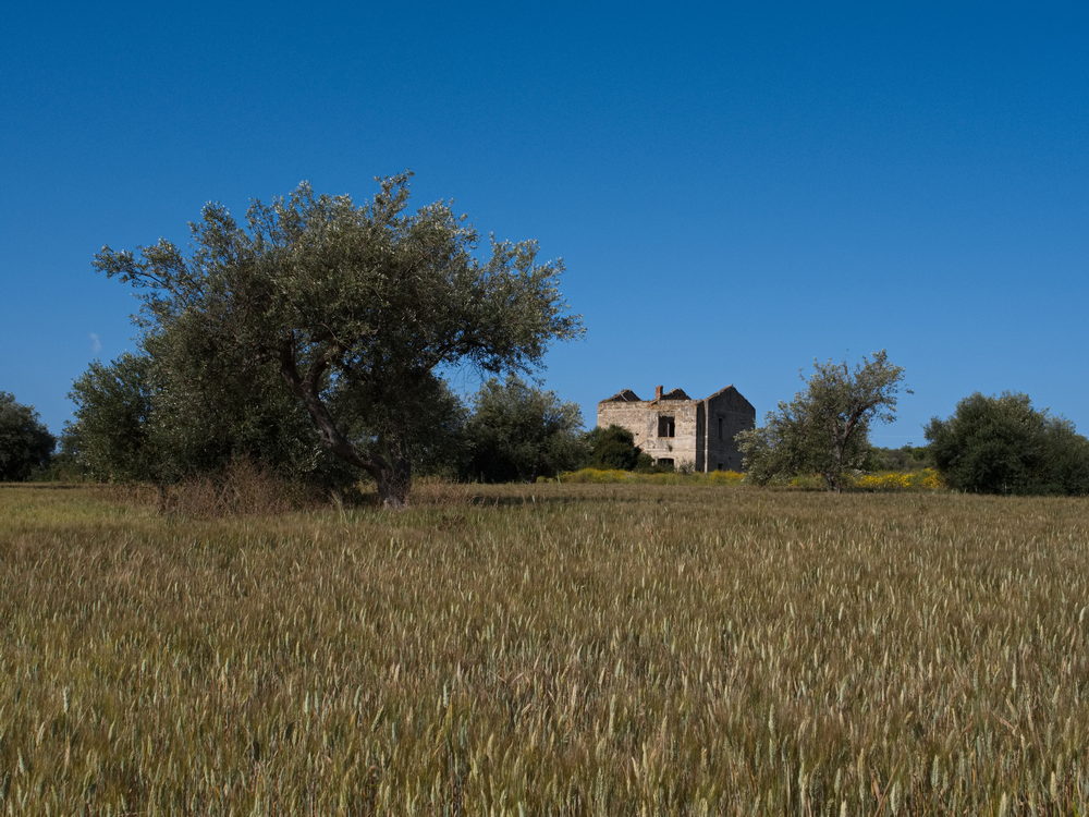 Weg zum Riserva di Vendicari
