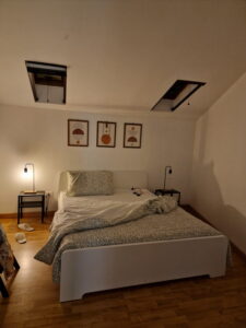 Fikus APT relax Castello Ursino