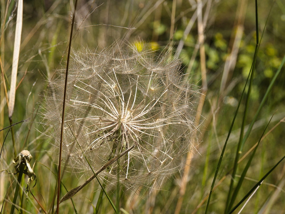 13_098